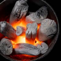 Imported Eucalyptus Charcoal